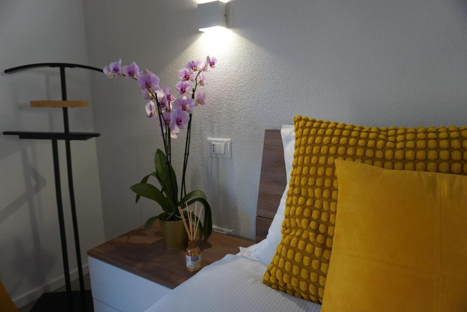 Elisa Apartments B - In Front Of The Walls Of Lucca Esterno foto